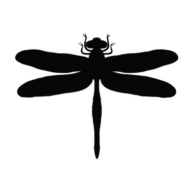 Bir yusufçuk siluetinin vektör çizimi