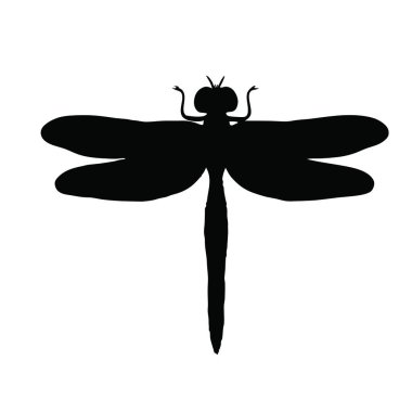 Bir yusufçuk silueti. vektör illüstrasyonu.