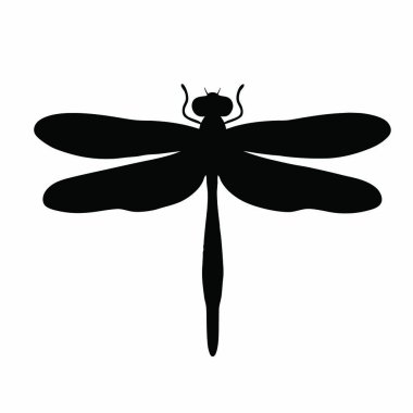 Böcek simgesi. Web için basit böcek vektör simgesi çizimi