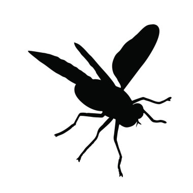 Beyaz arkaplandaki siyah sinek silueti, illüstrasyon