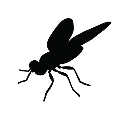 Siyah sinek silueti beyaz arkaplanda