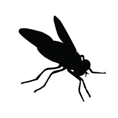 Sineğin vektör silueti