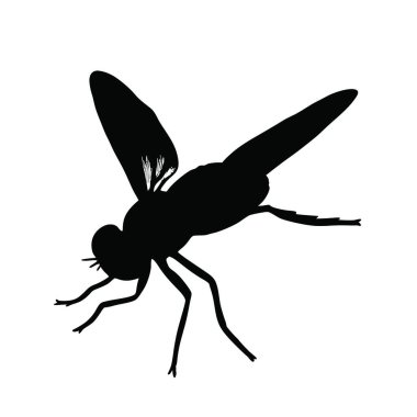 Beyaz arkaplandaki bir sivrisineğin siyah silueti