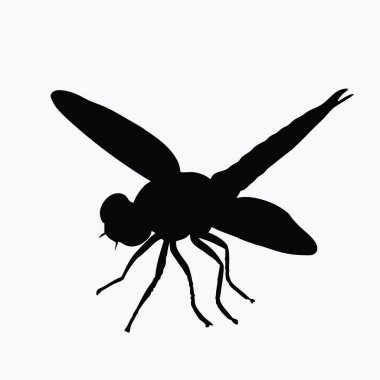 Beyaz arkaplanda izole edilmiş sinek simgesi vektörü, şeffaf işareti uçur