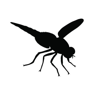 Beyaz arkaplan vektör illüstrasyonundaki bir sineğin siyah silüeti