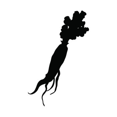 Sebzenin vektör silueti