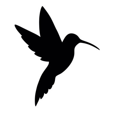 Beyaz arkaplanda bir sinekkuşunun silüeti