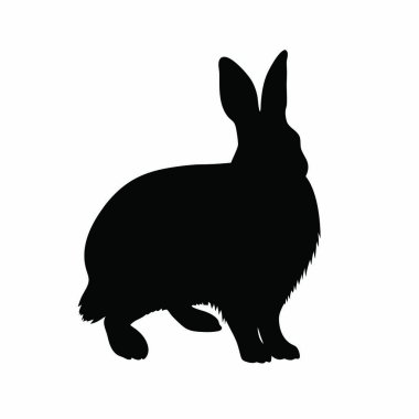 Tavşan vektör silueti çizimi
