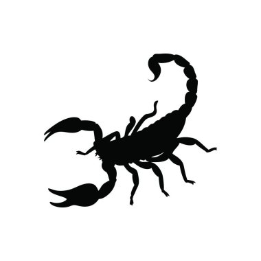 Akrep vektör çizim logosu