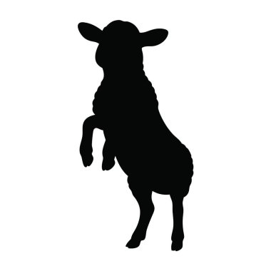 Beyaz Arkaplanda Koyun Silueti
