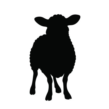 Beyaz arkaplanda koyun vektör simgesi