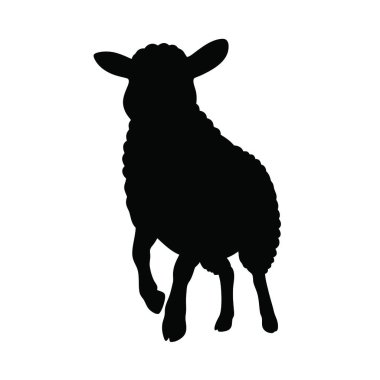 Beyaz arka planda koyun siyah simgesi. vektör illüstrasyonu.