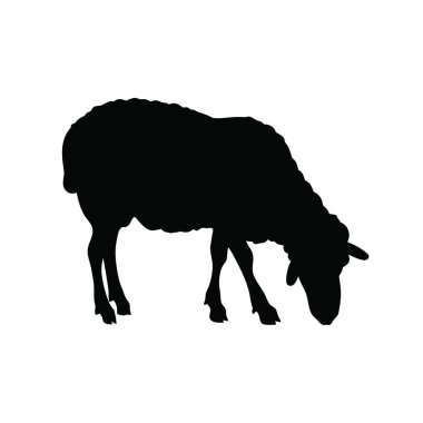 Siyah beyaz zemin üzerine koyun silüeti.