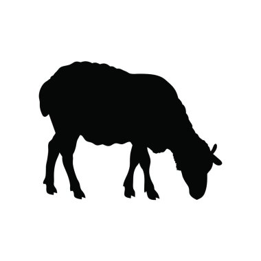 black silhouette of a camel