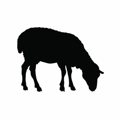 koyun siyah silueti izole edilmiş ikon vektör çizimi.
