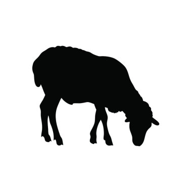 Beyaz koyun silueti.