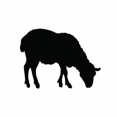 Koyun vektör silueti. Hayvan ikonu vektörü. Hayvan çizimi. Kara koyun silueti. koyun simgesi