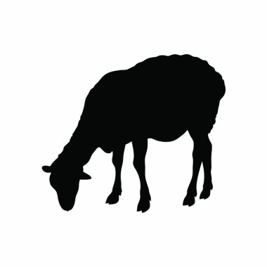 Beyaz arkaplanda koyun silueti şeklinde vektör görüntüsü.