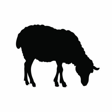 Kara koyun silueti izole edilmiş.