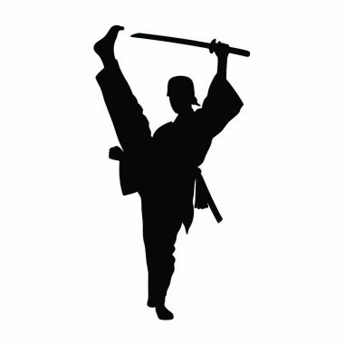 vektör karate savaşçı silueti