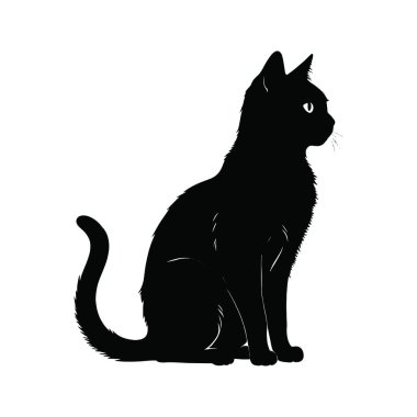 siluet siyah bir kedi. vektör çizim.