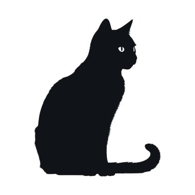 kedi siyah renk silueti