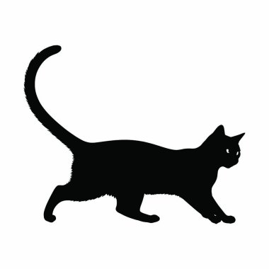 Beyaz arka planda siyah kedi silueti