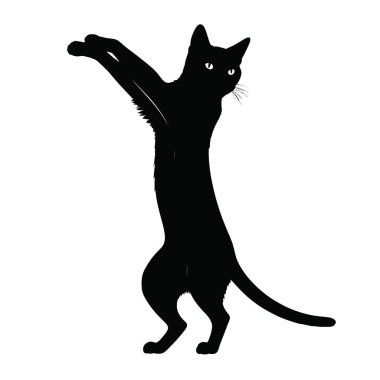 Siyah siluet dans eden kedi