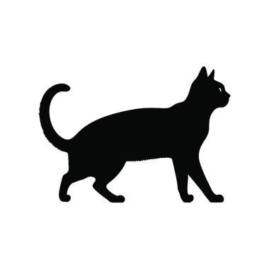 kedi vektör resimleme şablonu