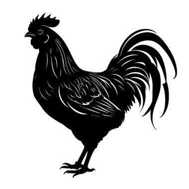 Horoz silueti. Horoz. vektör