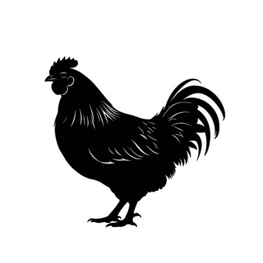 tavuk simgesi, siyah renk biçimi