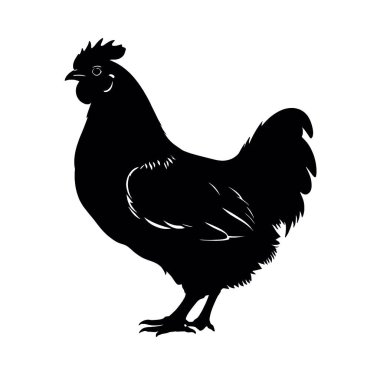 horoz vektörü siyah illüstrasyon