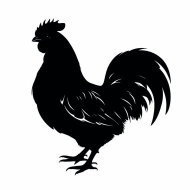 Beyaz arka plan üzerinde horoz Siyah Siluet