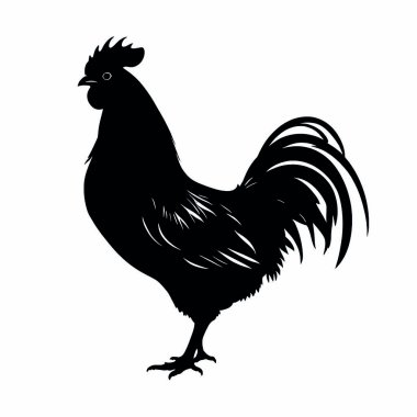 Beyaz arkaplanda siyah bir horozun vektör görüntüsü