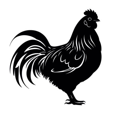 Beyaz arkaplanda bir horozun vektör silueti.
