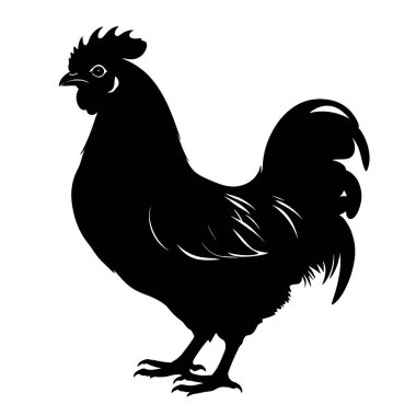 Bir horozun siyah siluetinin vektör çizimi