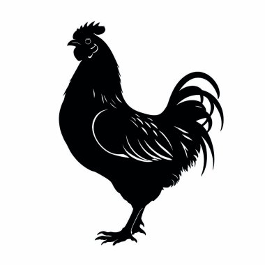 Horoz, tavuk silueti. siyah siluet.