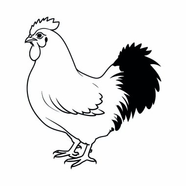 Tavuk vektör çizimi. çiftlik hayvanı, hayvan, tavuk ikonu, siyah siluet.