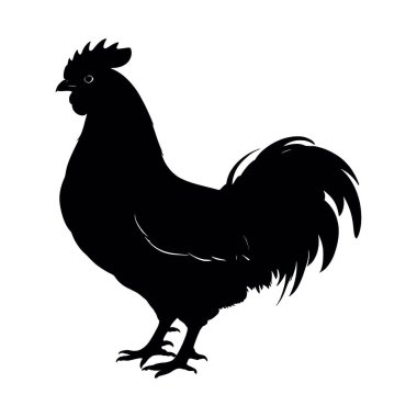 Siyah tavuk silueti. Siyah ve beyaz çizimler. vektör.