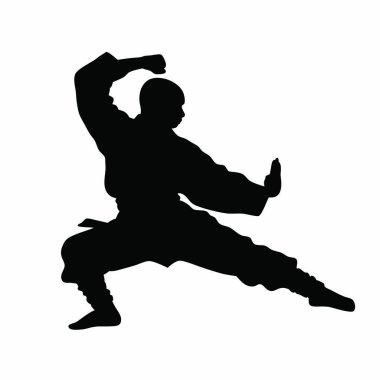 Bir karatecinin silueti.