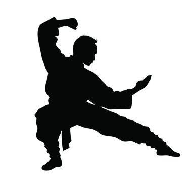 Bir karatecinin silueti.