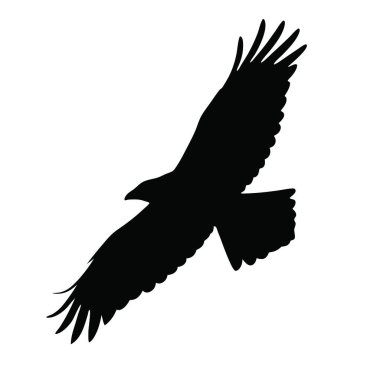 uçan bir kuş siluet