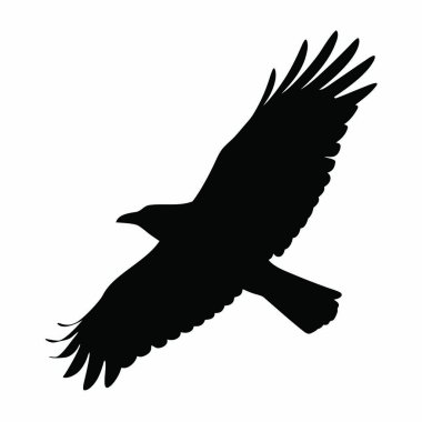 Siyah kuşun vektör resmi