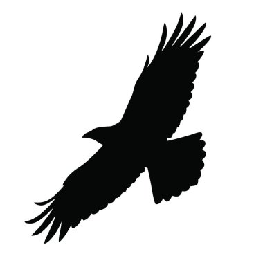 siyah kuş siluet vektörü