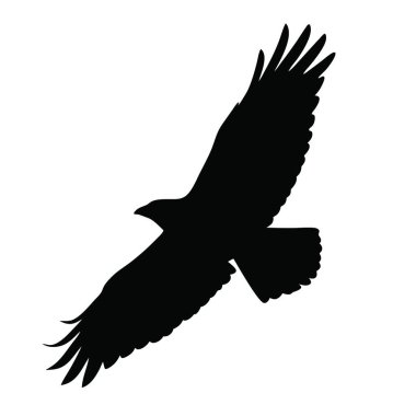 Kartal siyah silueti beyaz arkaplanda izole edilmiş..