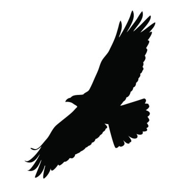 siyah kuş silueti vektör çizimi