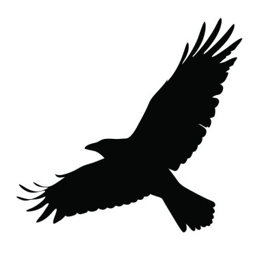 Siyah kartal silueti