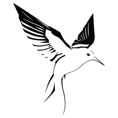 bir martının siyah-beyaz çizimi.