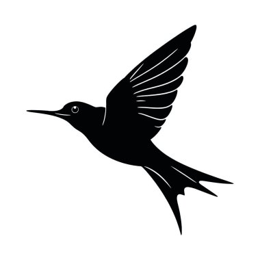 beyaz zemin üzerinde kuş vektör çizim