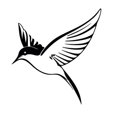 Kuş vektör resimleme tasarımı